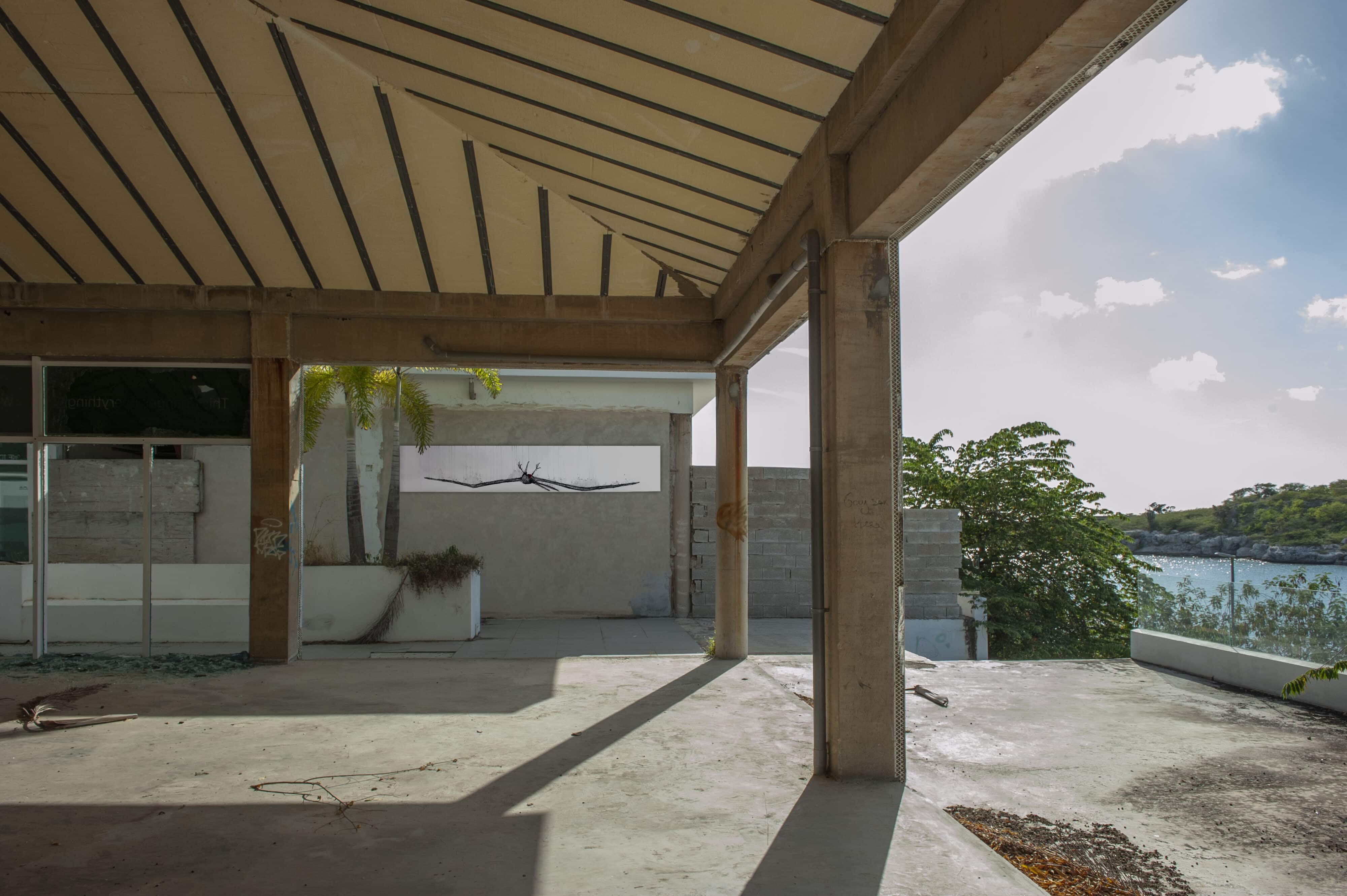 Drawing of a Frigate Bird, Frigata magnificens. Projected in an abandoned waterfront store in Piscadera Curaçao.