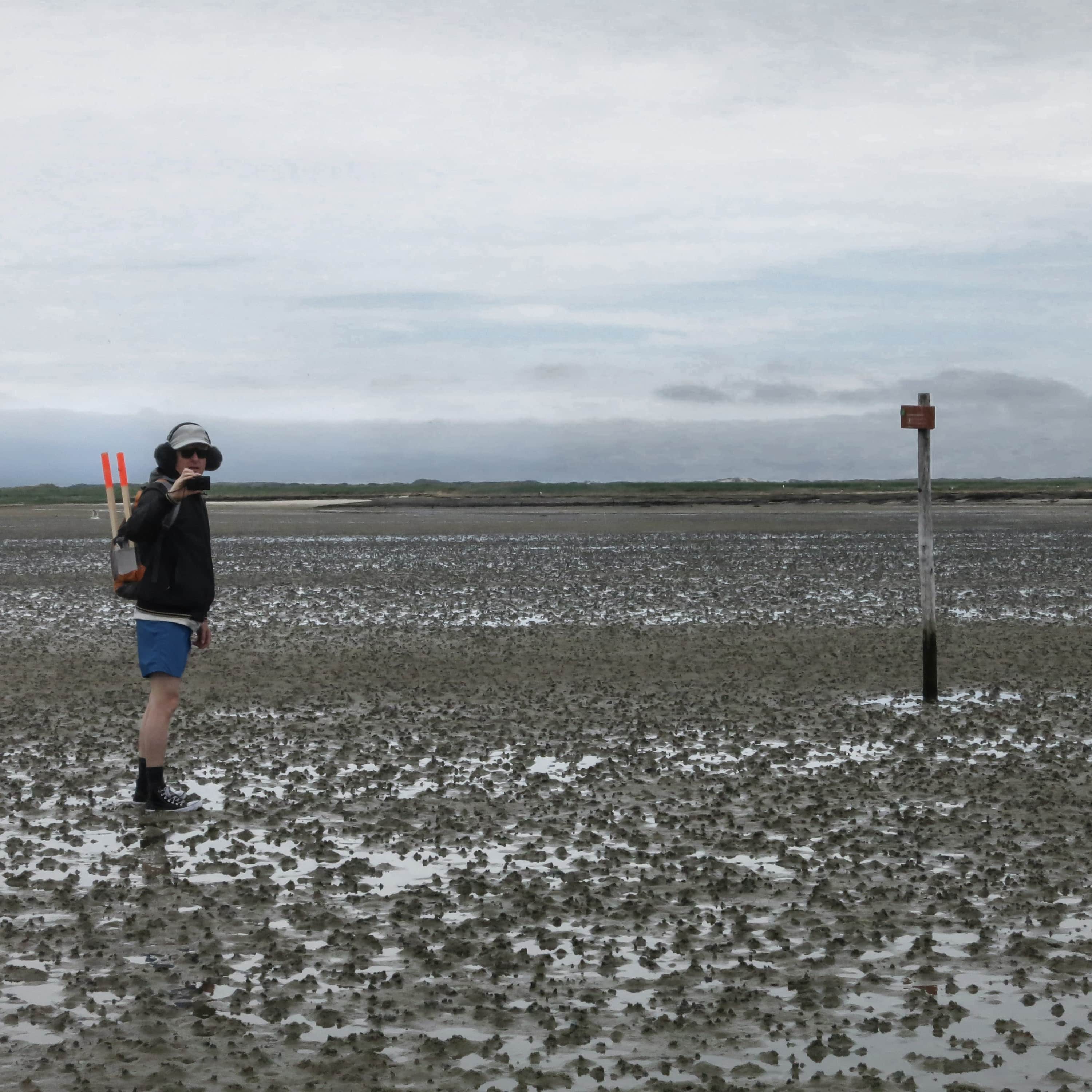 Het Geluid Vaart 2021 - De Waddenwandeling Het Geluid Vaart 2021 - De Waddenwandeling
