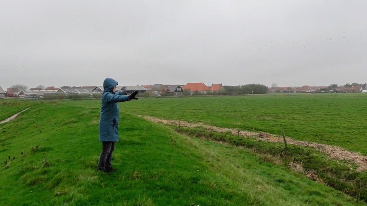 Oerol-Neeke-onderzoek GRAZING CHOREOGRAPHIE Graaschoreografieën Terschelling onderzoek Neeke van Zwol