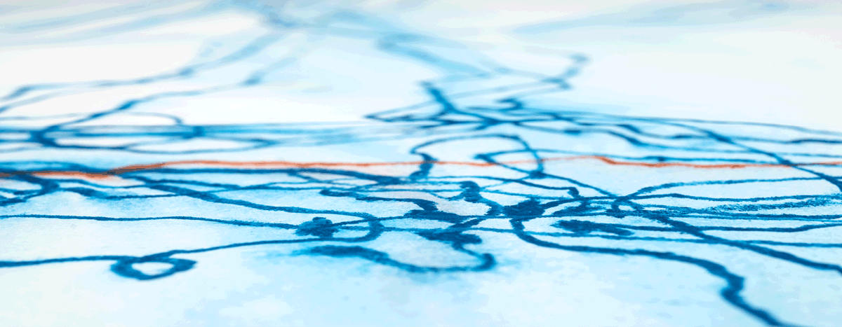 Diepenheim Graaschoreografieën Grazing Choreographies