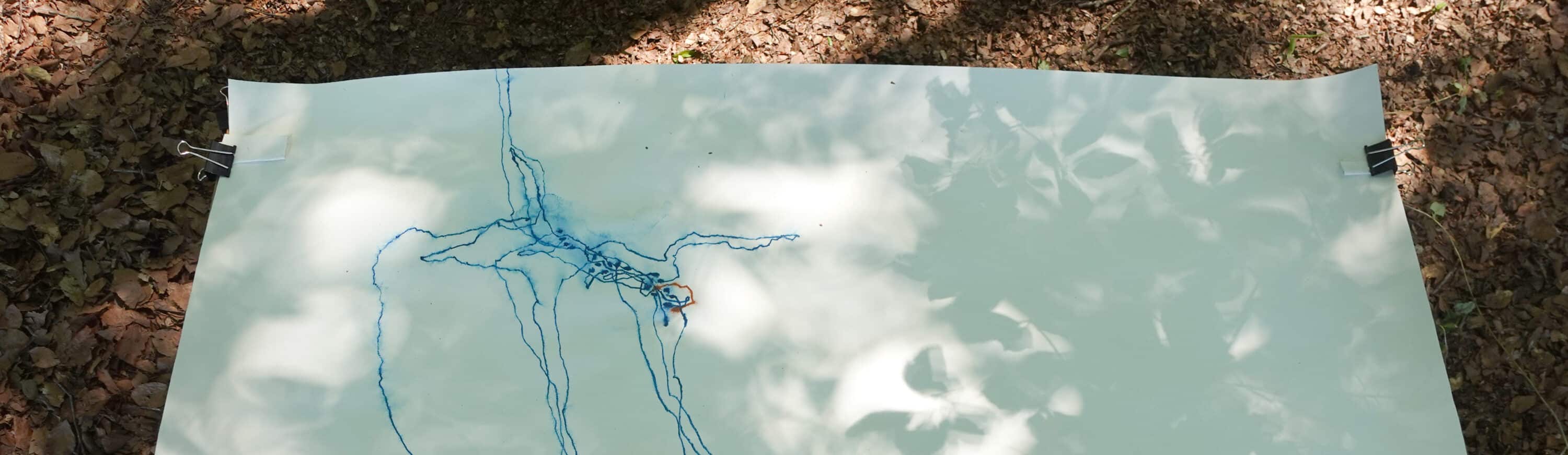 Graaschoreografie/Grazing Choreography